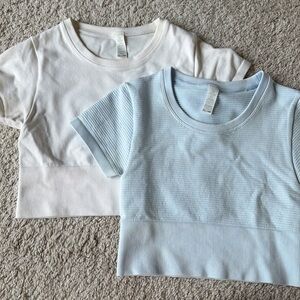 AERIE CROPPED WORKOUT TEE
